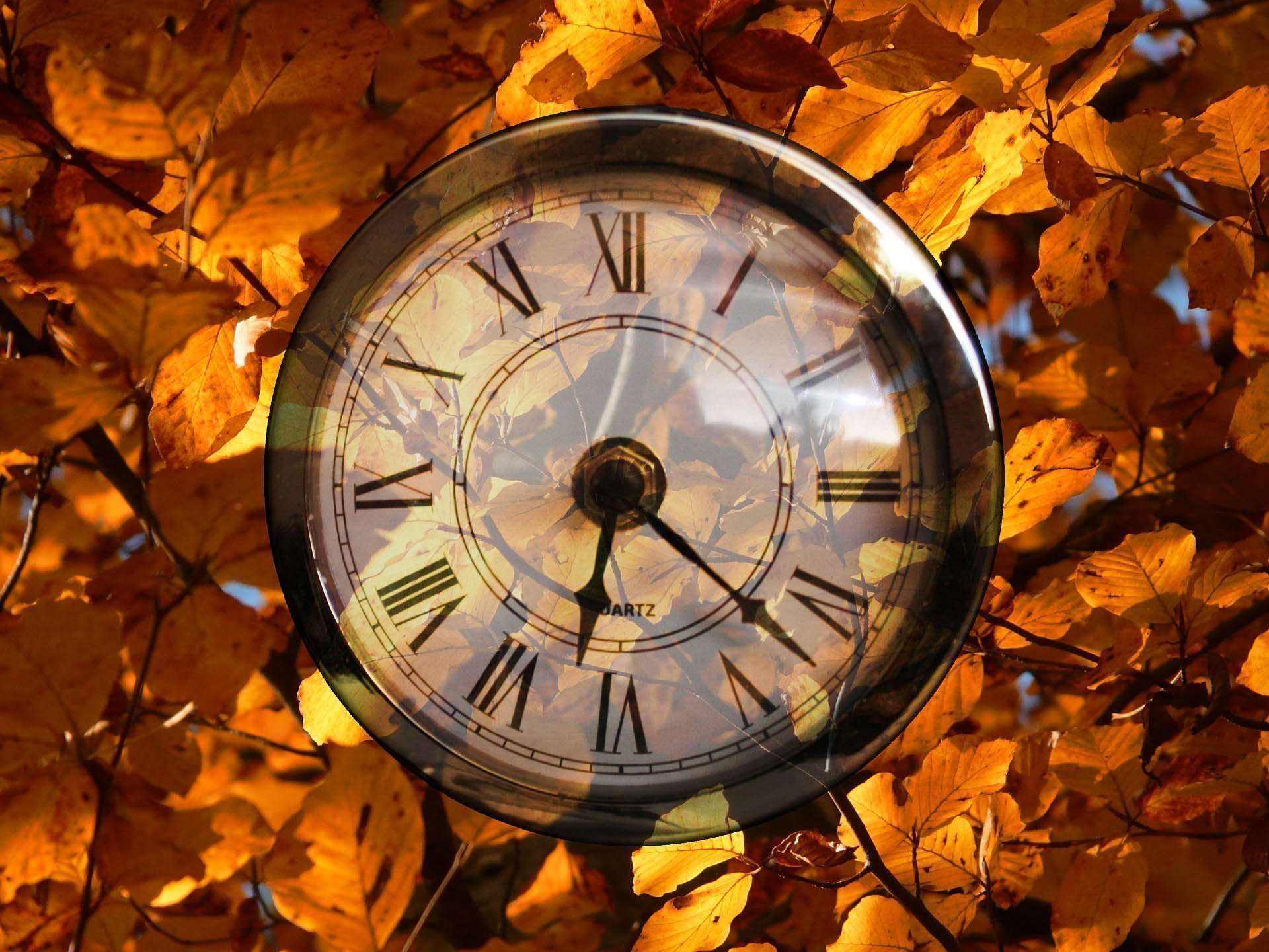 2024 Fall Church Conference Hub + SPRC Meeting Schedule